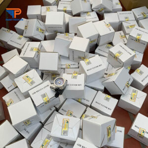 Đồng hồ chỉnh áp AJR-02S-VG-S1 chính hãng Anest Iwata